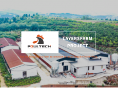 POUL TECH™ Layer Farm Project