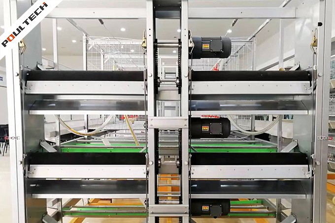 Broiler-Cage-With-Auto-Harvesting-System