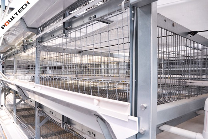 Broiler-Cage-With-Auto-Harvesting-System