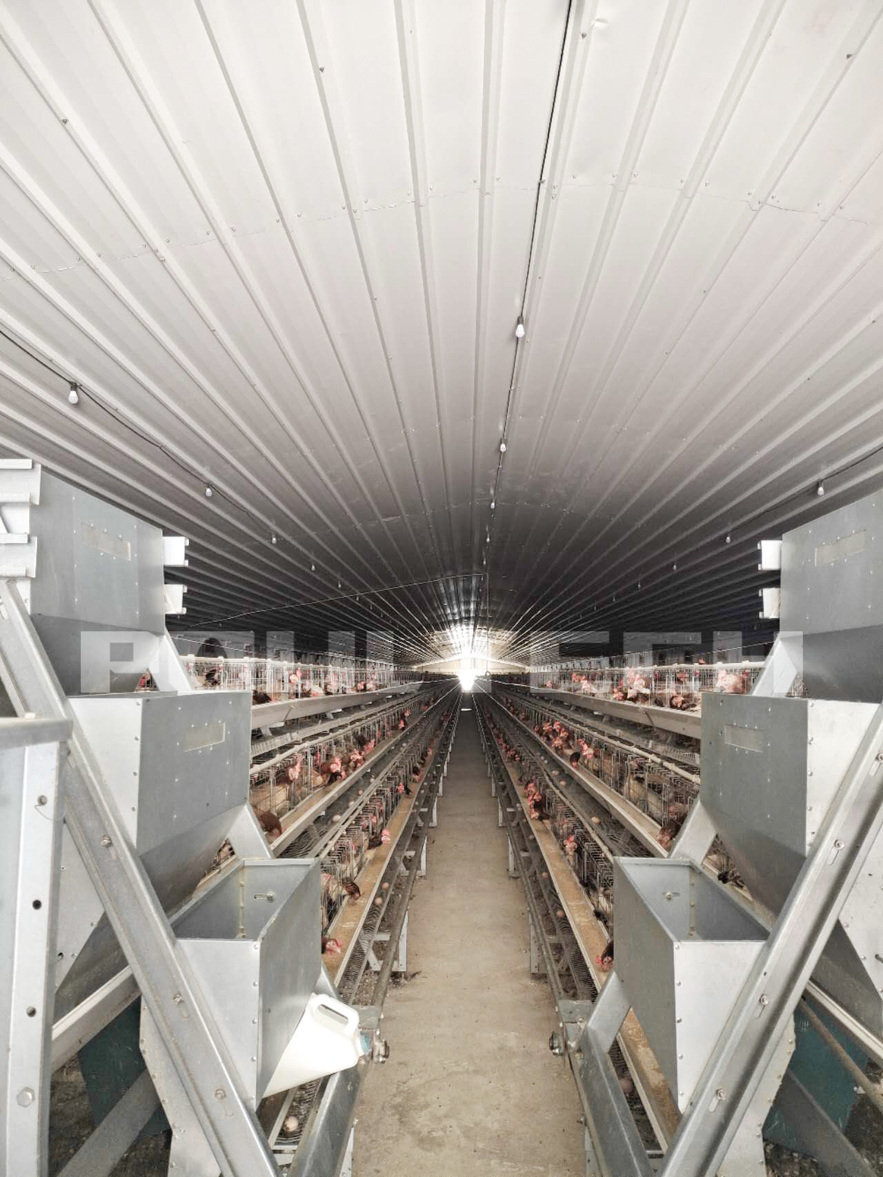 Two Egg Breeder Equipment Project Houses Are Located In Vietnam